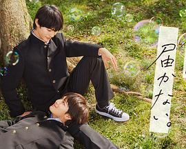 泛页面关键词2518